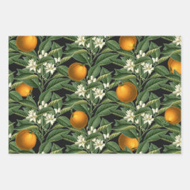 ヴィンテージ植物性オレンジフルーツブロッサムブラック ラッピングペーパーシート