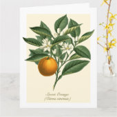 ヴィンテージ植物性オレンジフルーツ葉花 カード (黄色い花)