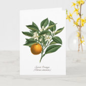 ヴィンテージ植物性オレンジフルーツ葉花 カード (黄色い花)