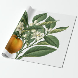 ヴィンテージ植物性オレンジ色の果実の模様（白） ラッピングペーパー
