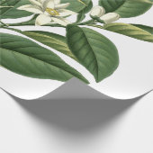 ヴィンテージ植物性オレンジ色の果実の模様（白） ラッピングペーパー (角)