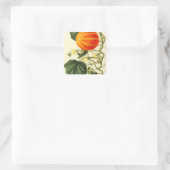 ヴィンテージ植物性カボチャのプリント。 スクエアシール (バッグ)