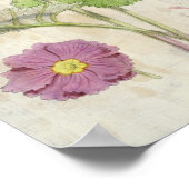 ヴィンテージ植物性カルミン中国のプリムローズ ポスター (角)