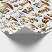 ヴィンテージ植物性キノコ包み紙 ラッピングペーパー (角)