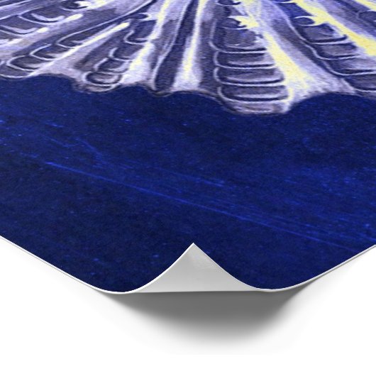 ヴィンテージ植物性コースタルブルーホワイトシーシェル ポスター (角)