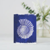 ヴィンテージ植物性コースタルブルーホワイトシーシェル ポストカード (スタンド正面)