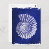 ヴィンテージ植物性コースタルブルーホワイトシーシェル ポストカード (正面/裏面)