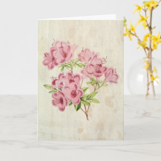 ヴィンテージ植物性スタンディッシュ雑種アザレア カード (黄色い花)