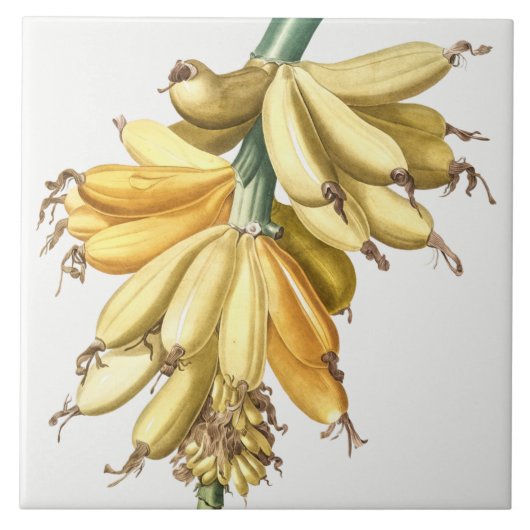 ヴィンテージ植物性セラミックタイル タイル (正面)