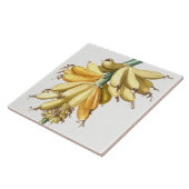 ヴィンテージ植物性セラミックタイル タイル (側面)