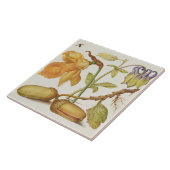 ヴィンテージ植物性セラミックタイル タイル (側面)