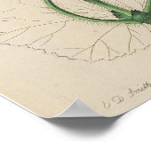 ヴィンテージ植物性ゼラニウムプリントポスター ポスター (角)