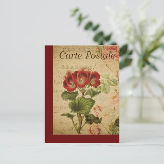 ヴィンテージ植物性フランスのポストカードペラルゴニウム ポストカード (スタンド正面)