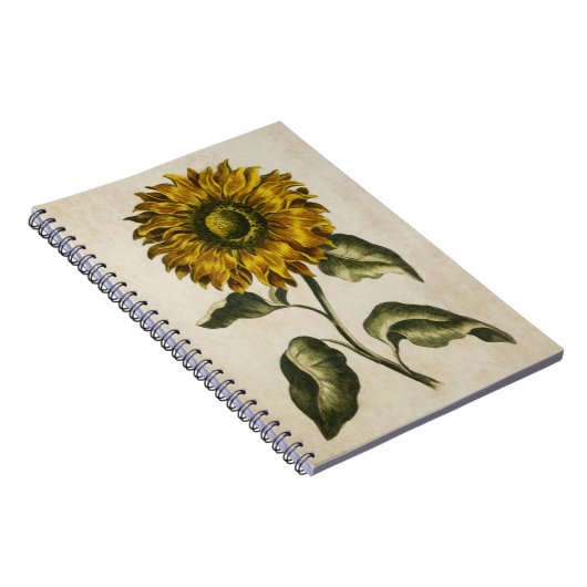 ヴィンテージ植物性フローラひまわりイラストレーション ノートブック (右側)