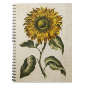 ヴィンテージ植物性フローラひまわりイラストレーション ノートブック (正面)