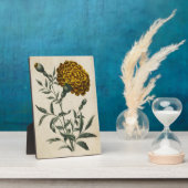 ヴィンテージ植物性フローラアフリカマリゴールド フォトプラーク (側面)