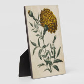 ヴィンテージ植物性フローラアフリカマリゴールド フォトプラーク (側面)