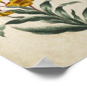 ヴィンテージ植物性フローラウォールフラワープリント ポスター (角)