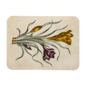 ヴィンテージ植物性フローラクロッカス磁石 マグネット (横)
