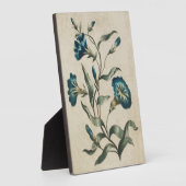 ヴィンテージ植物性フローラコンボルバルス フォトプラーク (側面)