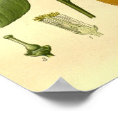 ヴィンテージ植物性フローラスイートオレンジフルーツイルミネスト ポスター (角)