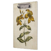 ヴィンテージ植物性フローラセントジョンズウォルト クリップボード (左)