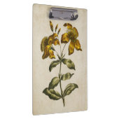 ヴィンテージ植物性フローラセントジョンズウォルト クリップボード (右)