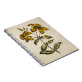 ヴィンテージ植物性フローラセントジョンズウォルト ノートブック (右側)