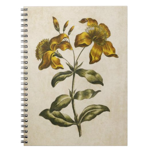 ヴィンテージ植物性フローラセントジョンズウォルト ノートブック (正面)