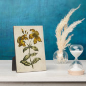 ヴィンテージ植物性フローラセントジョンズウォルト フォトプラーク (側面)