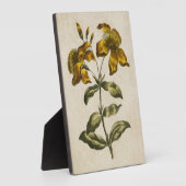 ヴィンテージ植物性フローラセントジョンズウォルト フォトプラーク (側面)