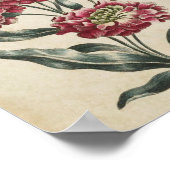 ヴィンテージ植物性フローラダブルストックプリント ポスター (角)