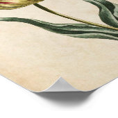 ヴィンテージ植物性フローラチューリッププリント ポスター (角)