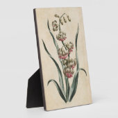 ヴィンテージ植物性フローラヒヤシンス フォトプラーク (側面)