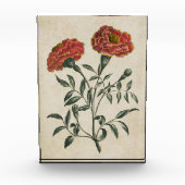 ヴィンテージ植物性フローラフランスのマリゴールド フォトブロック (正面)