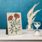 ヴィンテージ植物性フローラフランスのマリゴールド フォトプラーク (側面)