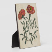 ヴィンテージ植物性フローラフランスのマリゴールド フォトプラーク (側面)