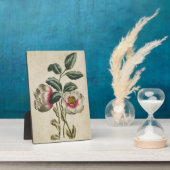 ヴィンテージ植物性フローラヘルボア フォトプラーク (側面)