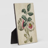 ヴィンテージ植物性フローラヘルボア フォトプラーク (側面)