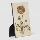 ヴィンテージ植物性フローラランヌカルス フォトプラーク (側面)