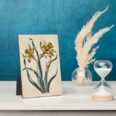 ヴィンテージ植物性フローラ水仙 フォトプラーク (側面)