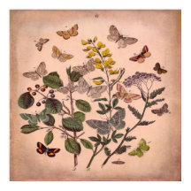 ヴィンテージ植物性フローラ蝶ピ素朴ンク