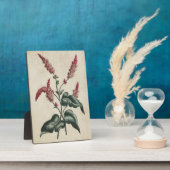 ヴィンテージ植物性フローラPersicaria フォトプラーク (側面)