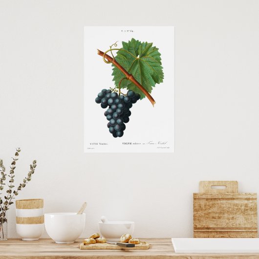 ヴィンテージ植物性プリントグレープつる植物ポスター ポスター (キッチン)