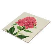 ヴィンテージ植物性プリントコーラルピンク牡丹 タイル (側面)