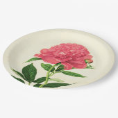 ヴィンテージ植物性プリントコーラルピンク牡丹 ペーパープレート (アングル)