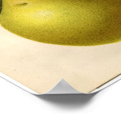 ヴィンテージ植物性プリント – 梨 ポスター (角)