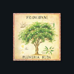 ヴィンテージ植物性プルメリアツリーアールデコ キャンバスプリント<br><div class="desc">ヴィンテージ植物性プルメリアフランジパニツリーアールデコ。あなたのキッチンやダイニングエリアのために素敵な壁のデコを作る。</div>