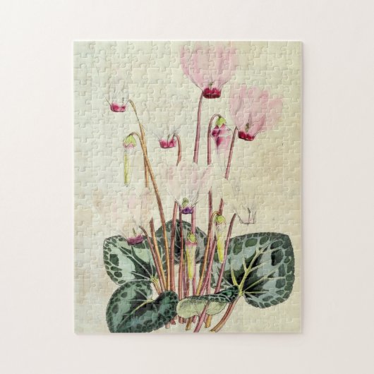 ヴィンテージ植物性ペルシャシクラメン ジグソーパズル (縦)