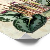 ヴィンテージ植物性ペルシャシクラメン ポスター (角)